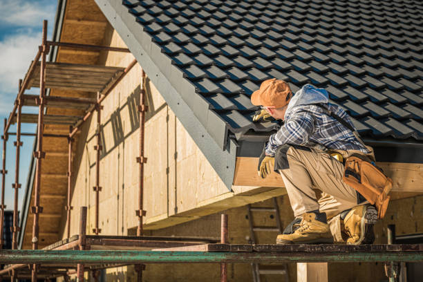 Best Roof Moss and Algae Removal  in Prairie Grove, IL