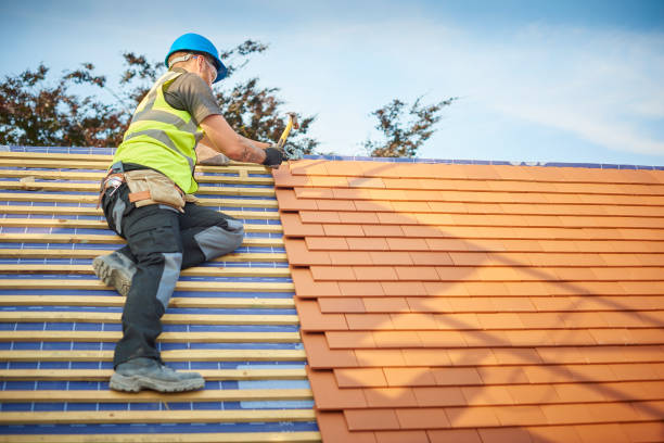 Best Metal Roofing Installation  in Prairie Grove, IL
